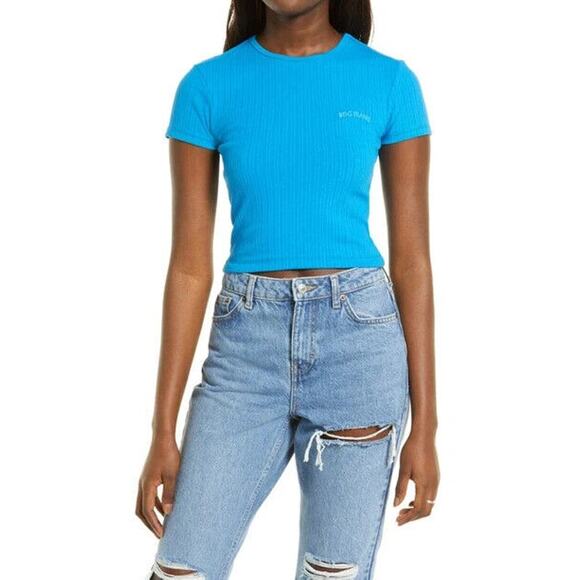 BDG URBAN OUTFITTERS NEW $22 Embroidered Ribbed Baby T-Shirt Blue Small - Picture 1 of 2